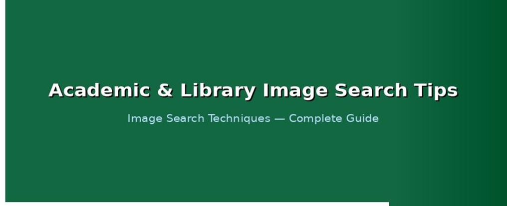 Advanced image search techniques used by professionals and power users